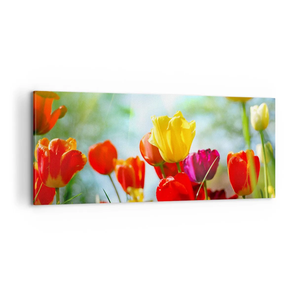 Canvas picture - All Colours of the Sun - 100x40 cm