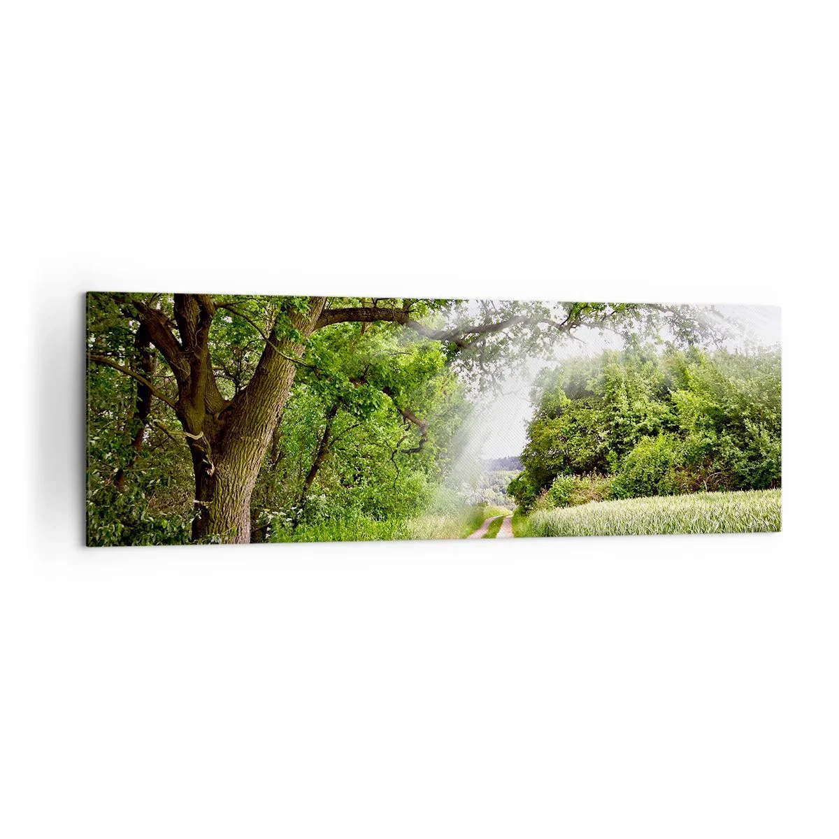 Canvas picture - Et in Arcadia Ego - 160x50 cm