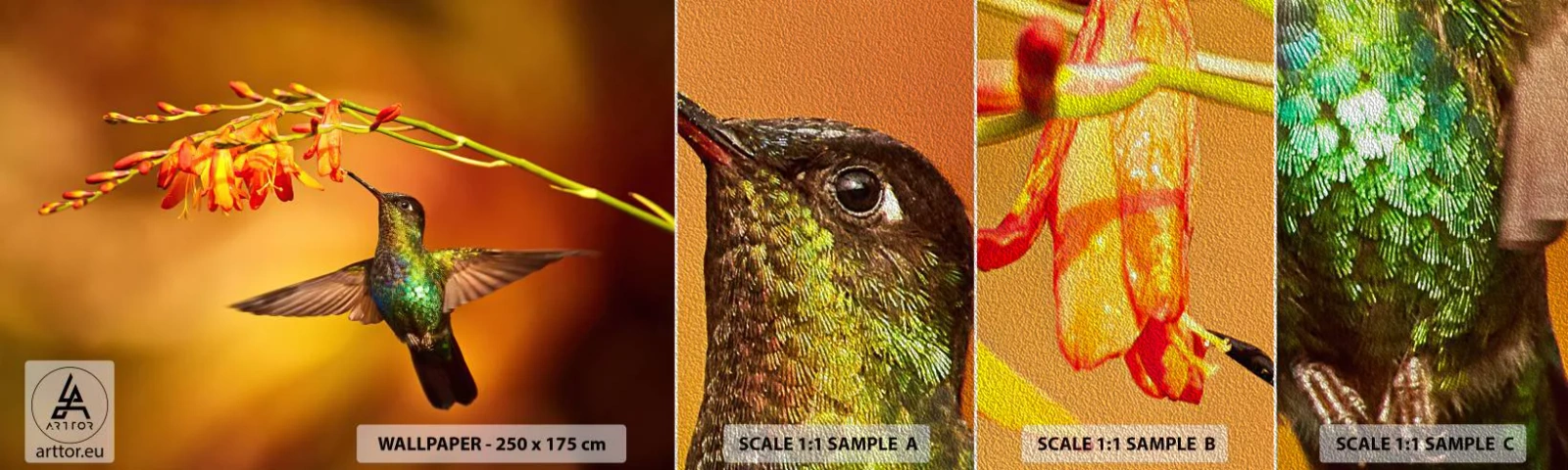 Photo Wallpaper Sample Premium Sand - Messenger of Light according to the Mayans - Humming-bird, Bird, Nature - 100x30 cm