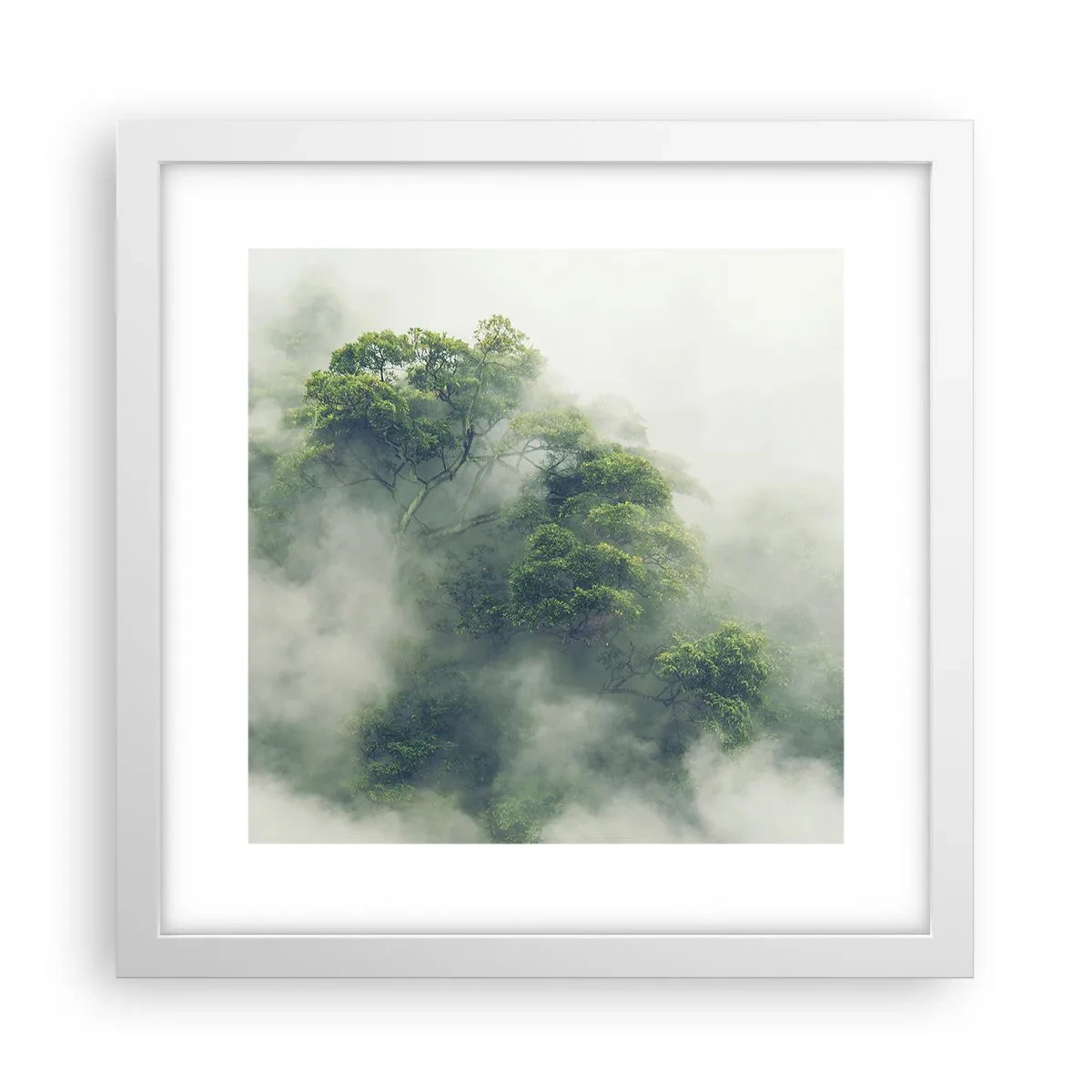 Poster in white frmae - Wrapped In Fog - 30x30 cm