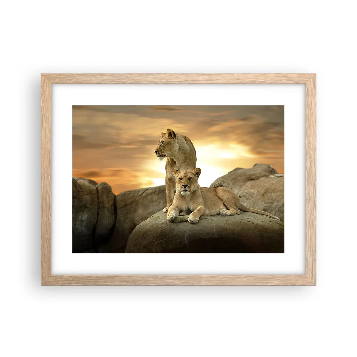 Poster in light oak frame - Royal Majesty - 40x30 cm