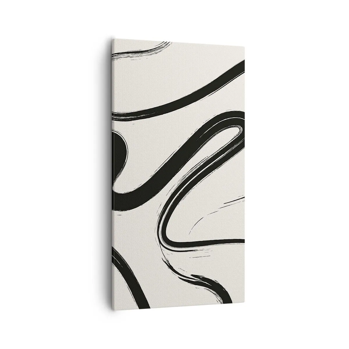 Canvas picture - Black and White Fancy - 55x100 cm