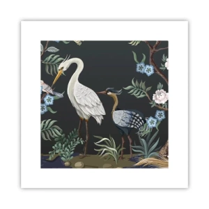 Poster - Bird Truth - 30x30 cm