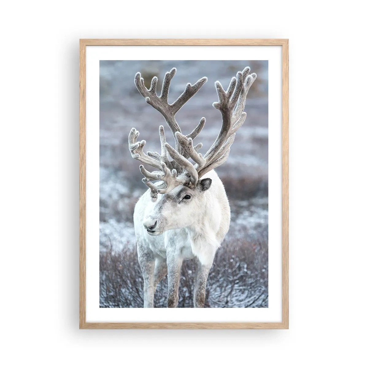 Poster in light oak frame - Portrait in the Sun - 50x70 cm