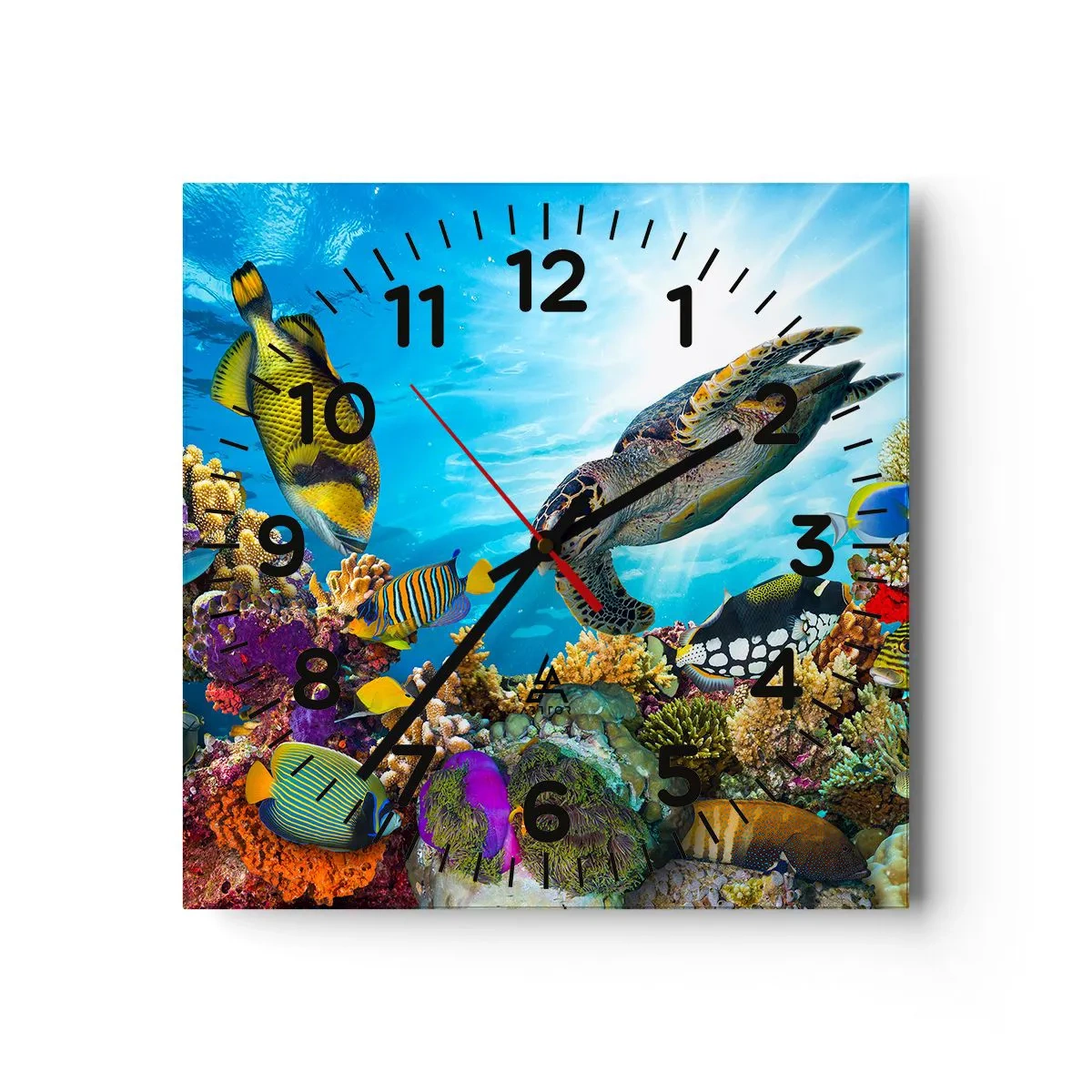 Wall clock - Clock on glass - Coral Promenade - 40x40 cm