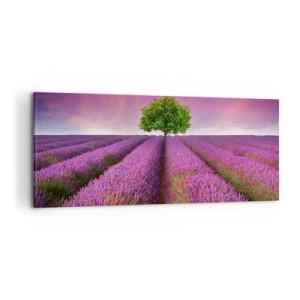 Canvas picture - In the Fields of Lavender - 100x40 cm