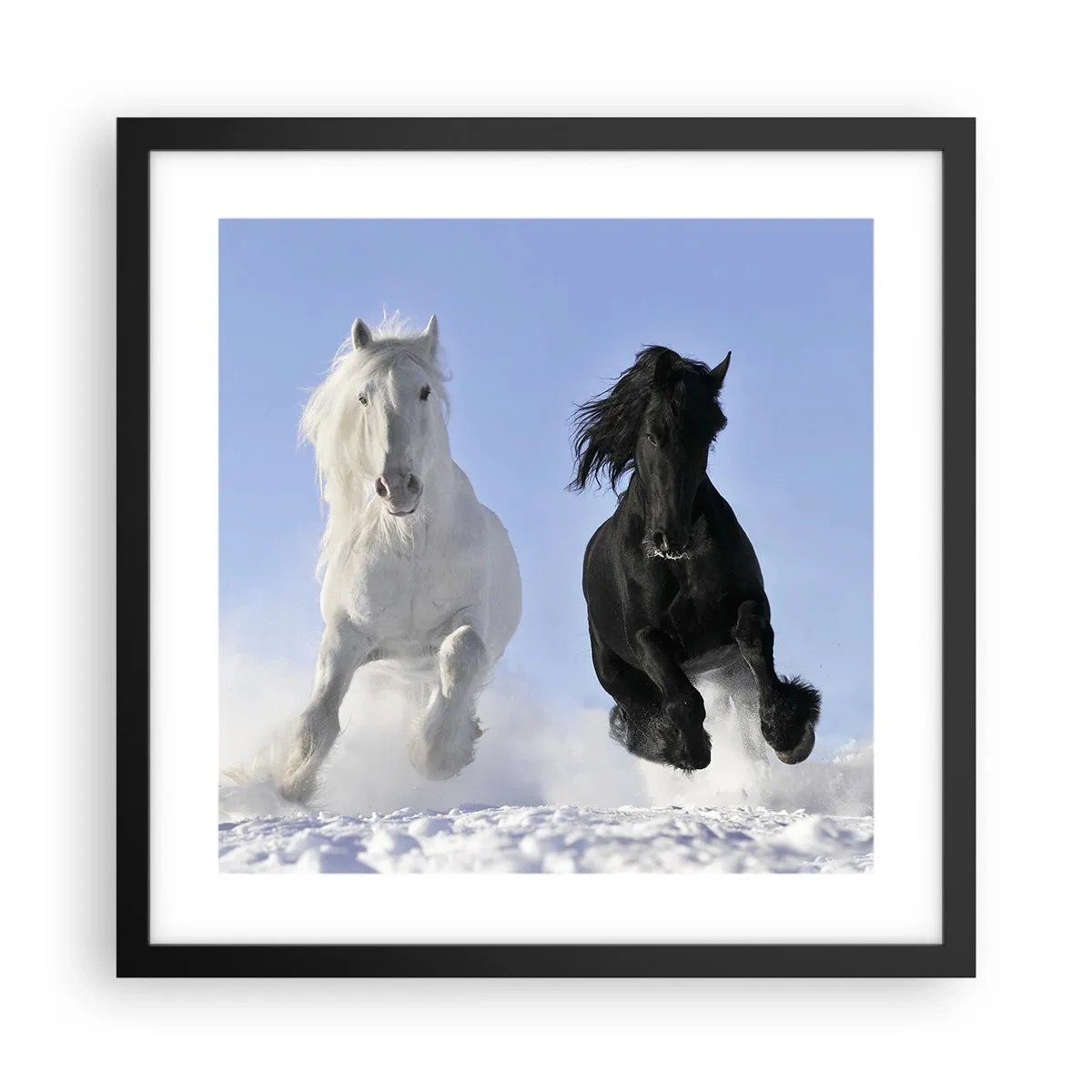 Poster in black frame - Black and White Gallop - 40x40 cm