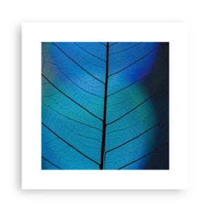 Poster - Intricate Construction - 30x30 cm