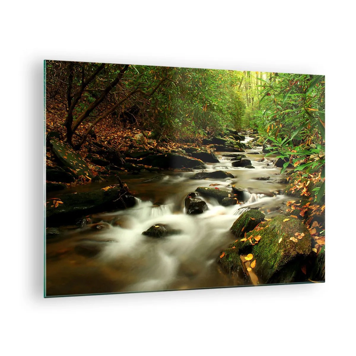 Glass picture - A stream in the forest surrounded by stones and leaves - 70x50cm - Like Live Wire - Modern wall decoration for the living room and bedroom ARTTOR