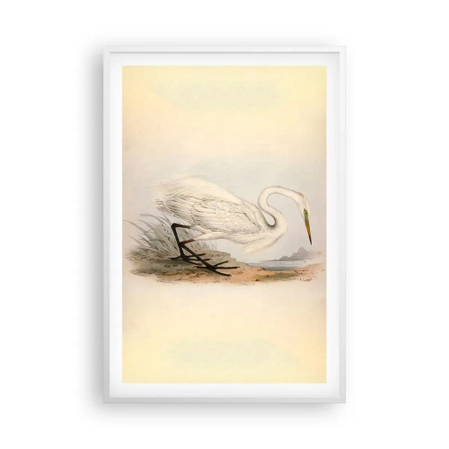 Poster in white frmae - Lady on the Marsh - 61x91 cm
