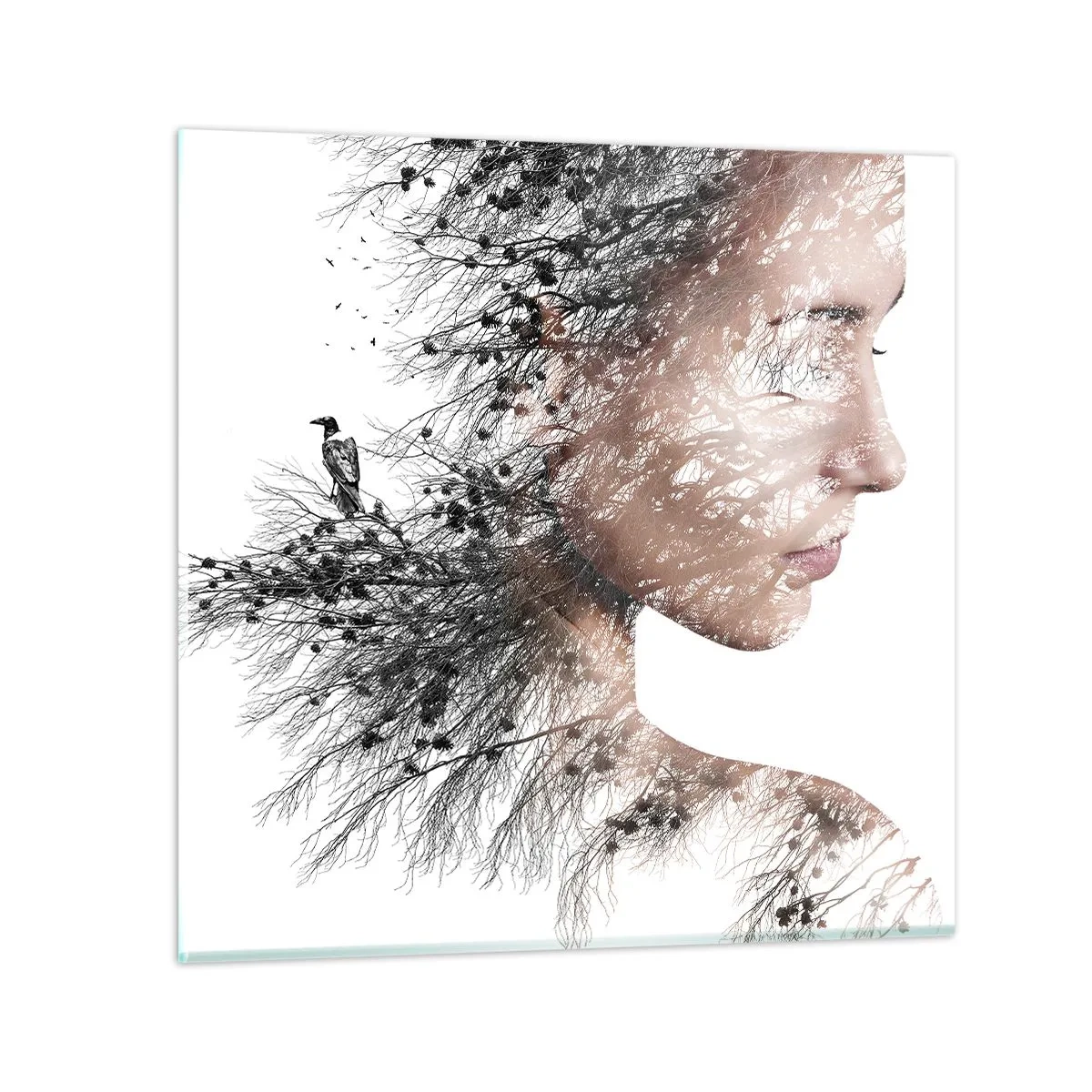 Glass picture - Spirit of a Forest - 70x70 cm