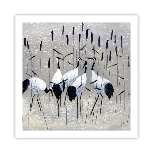 Poster - Birds of Feather - 60x60 cm