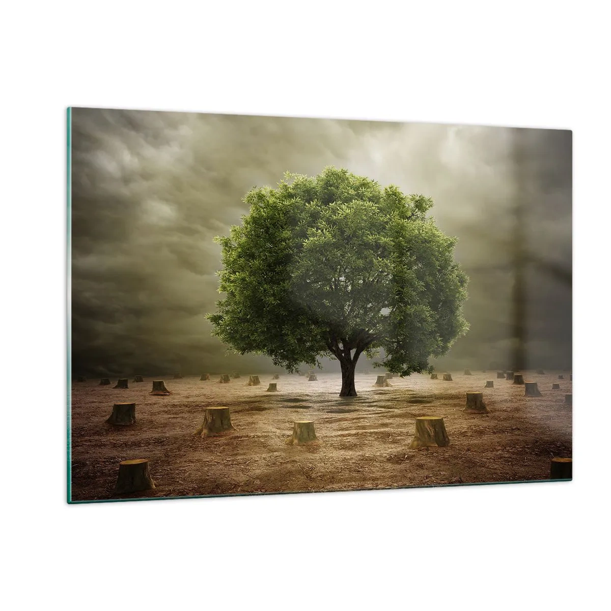 Glass picture - Entire Hope - 120x80 cm
