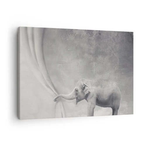 Canvas picture - An elephant pulling back the curtain in a surreal black and white shot - 70x50cm - Uncover the Secret - Modern wall decoration for the living room and bedroom ARTTOR