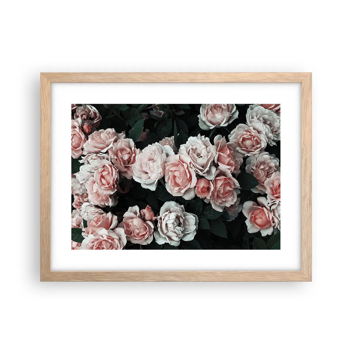 Poster in light oak frame - Rose Ensemble - 40x30 cm