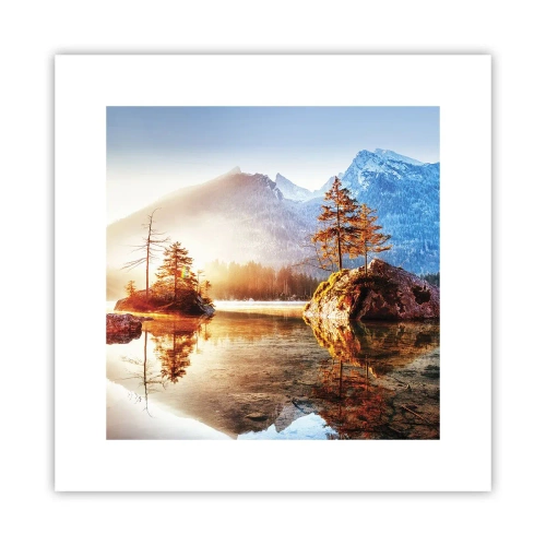 Poster - Nature in New Light - 30x30 cm