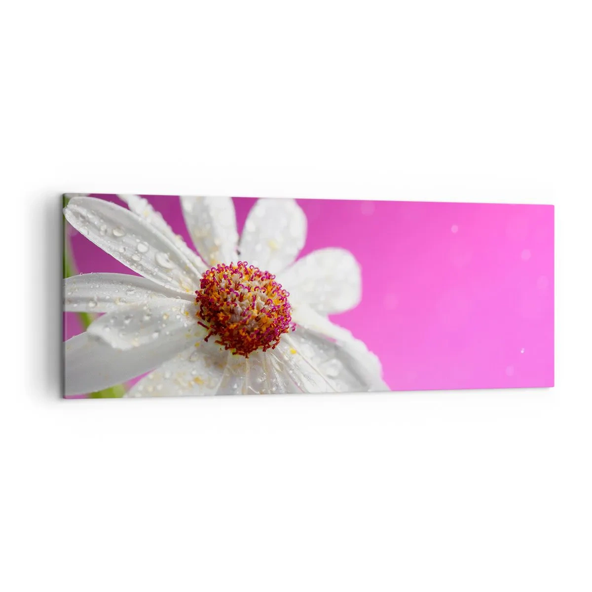 Canvas picture - Modest in Its Beauty - 140x50 cm