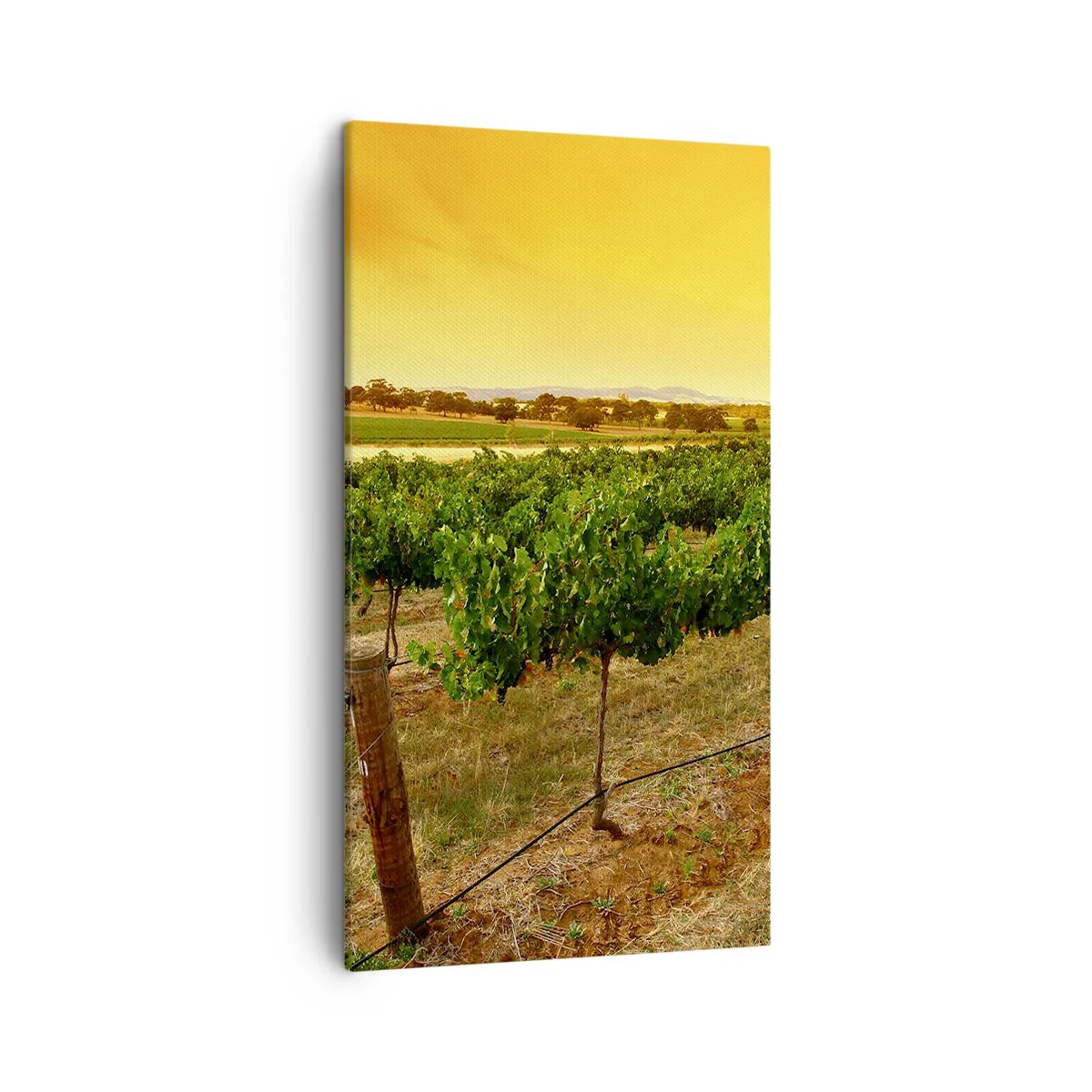Canvas picture - Drink up the Sun - 45x80 cm