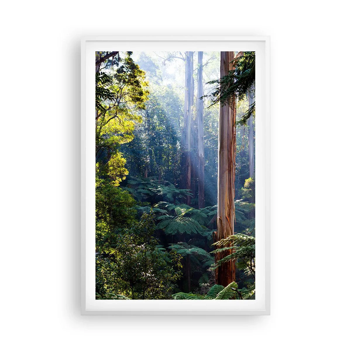 Poster in white frmae - Tale of a Forest - 61x91 cm
