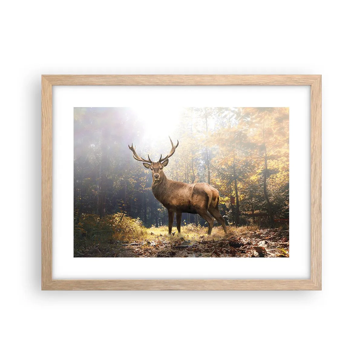 Poster in light oak frame - In Full Majesty - 40x30 cm