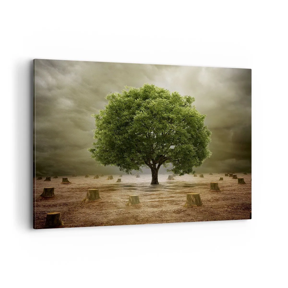 Canvas picture - Entire Hope - 100x70 cm
