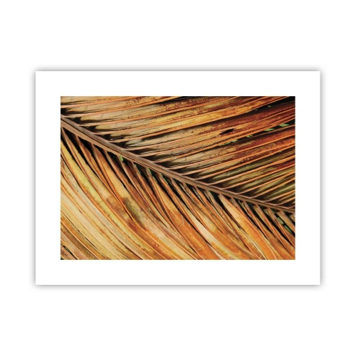 Poster - Coconut Gold - 40x30 cm
