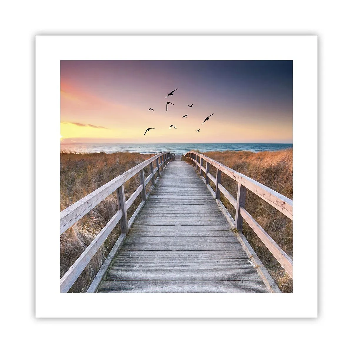 Poster - Space of Highs - 40x40 cm