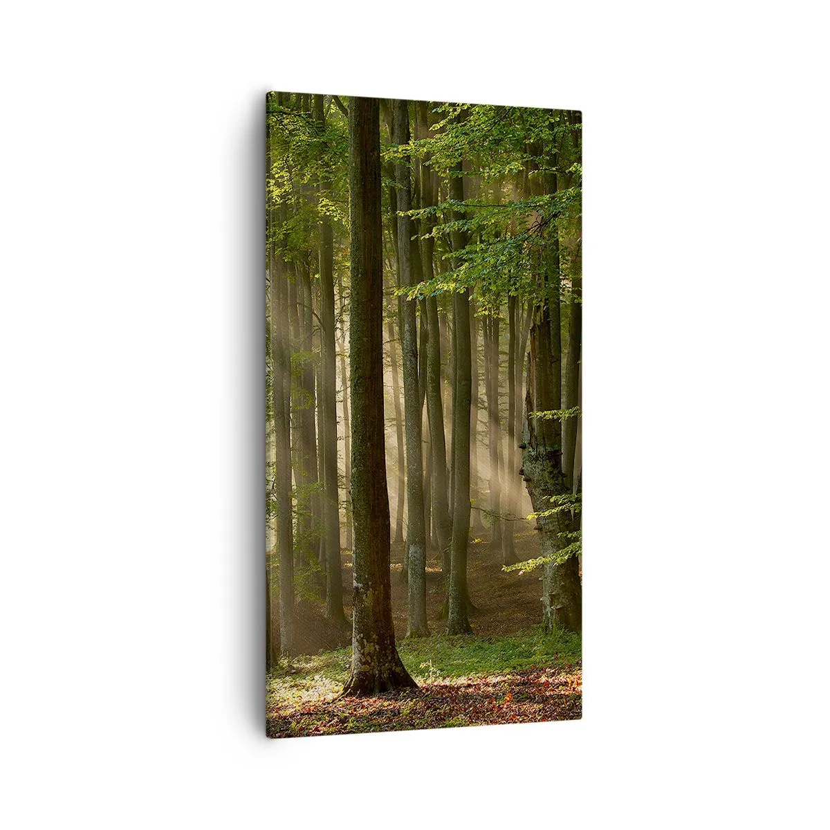 Canvas picture - Beaming in Spring Morning - 55x100 cm