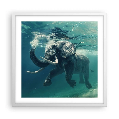 Poster in white frmae - Everyone Likes to Swim - 50x50 cm