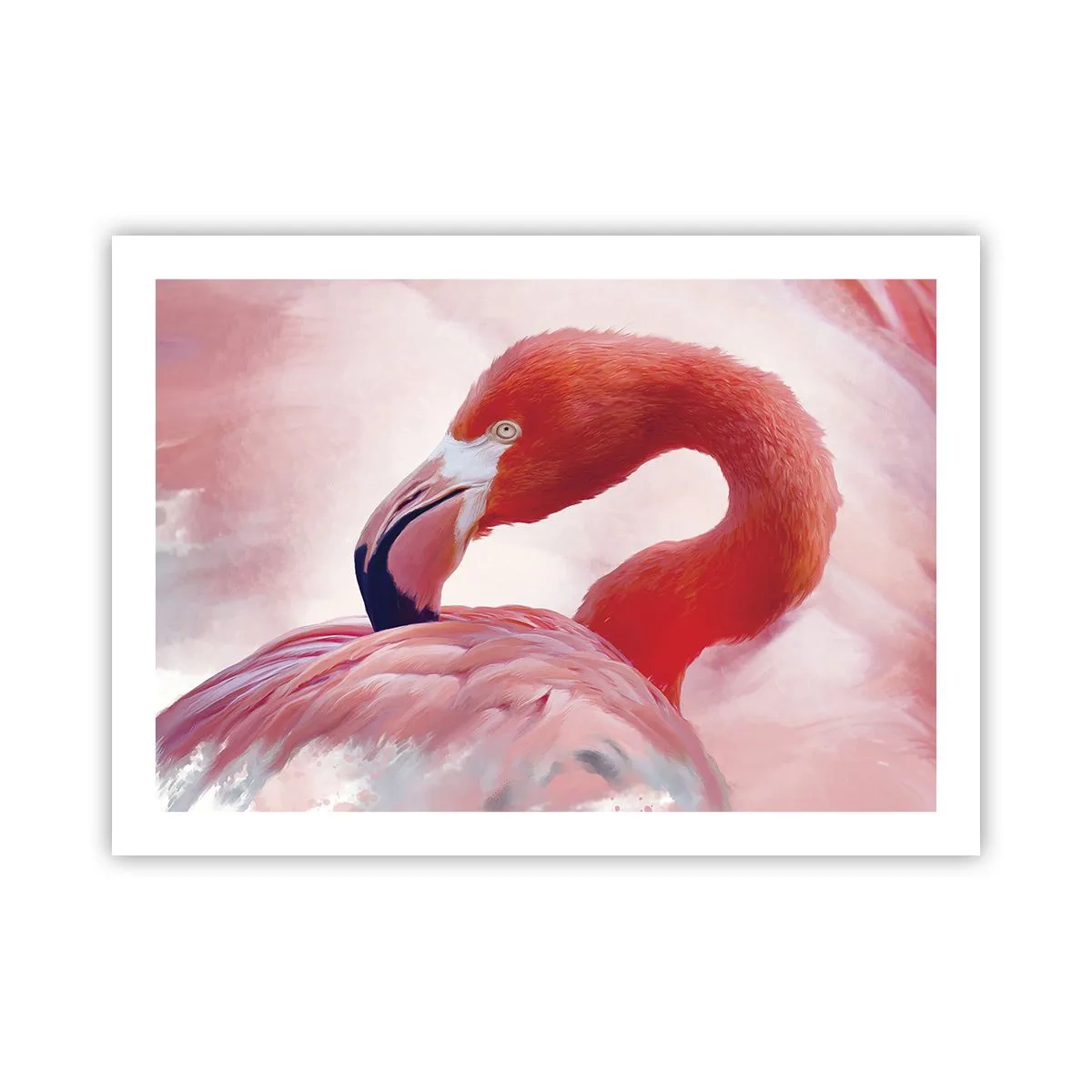 Poster - Bird Look - 70x50 cm