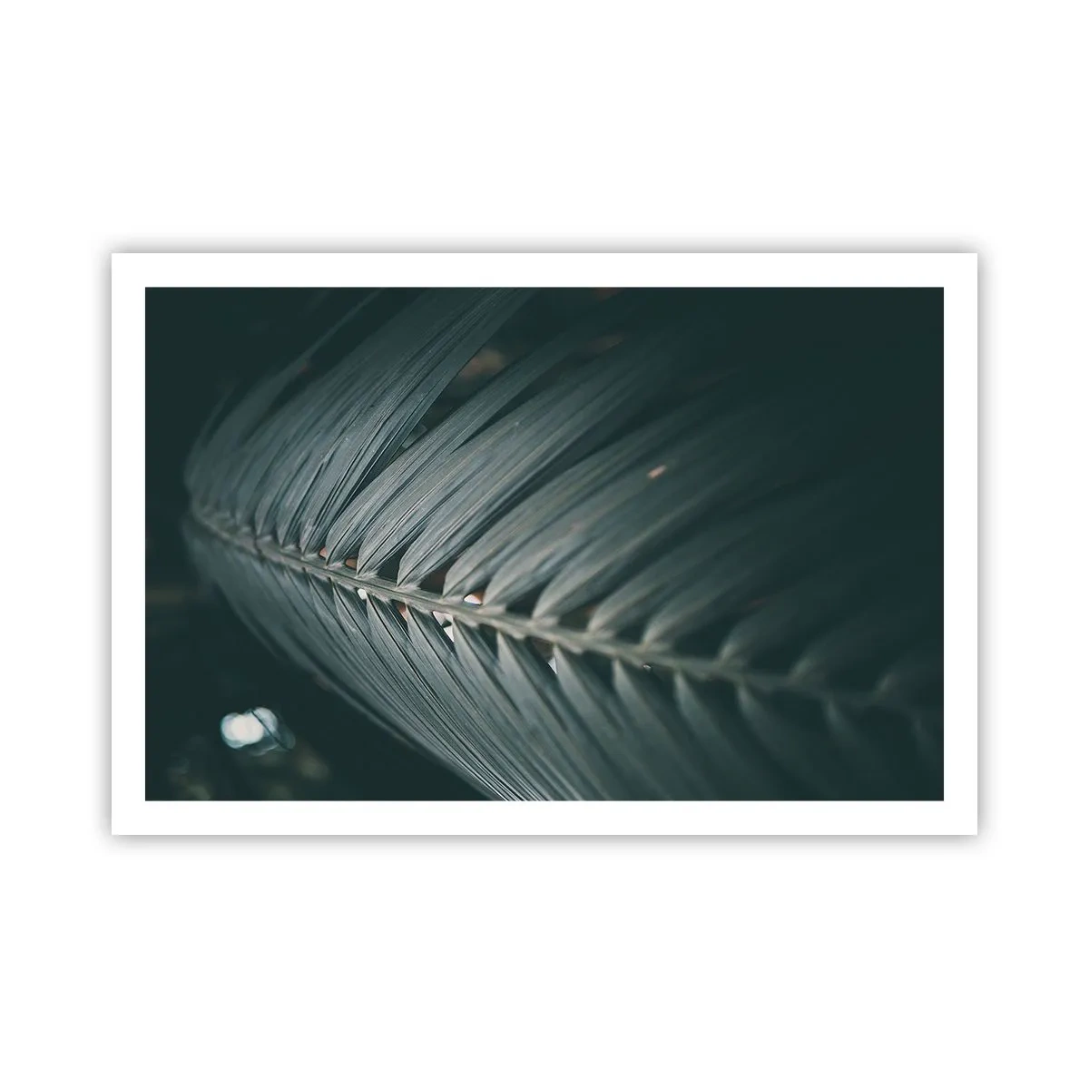 Poster - Precision of Nature - 91x61 cm