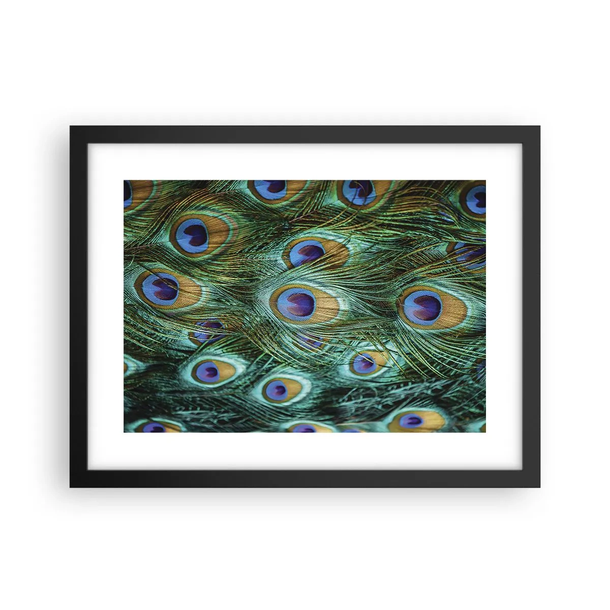 Poster in black frame - Peacock Eyes - 40x30 cm