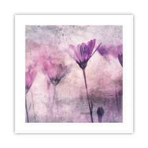 Poster - Dream of Flowers - 40x40 cm
