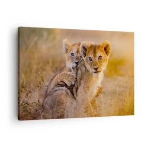 Canvas picture - Adorable lion cubs in their natural surroundings - 70x50cm - Do Not Disturb! We Are Playing - Modern wall decoration for the living room and bedroom ARTTOR