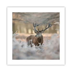 Poster - Chilly Morning - 40x40 cm