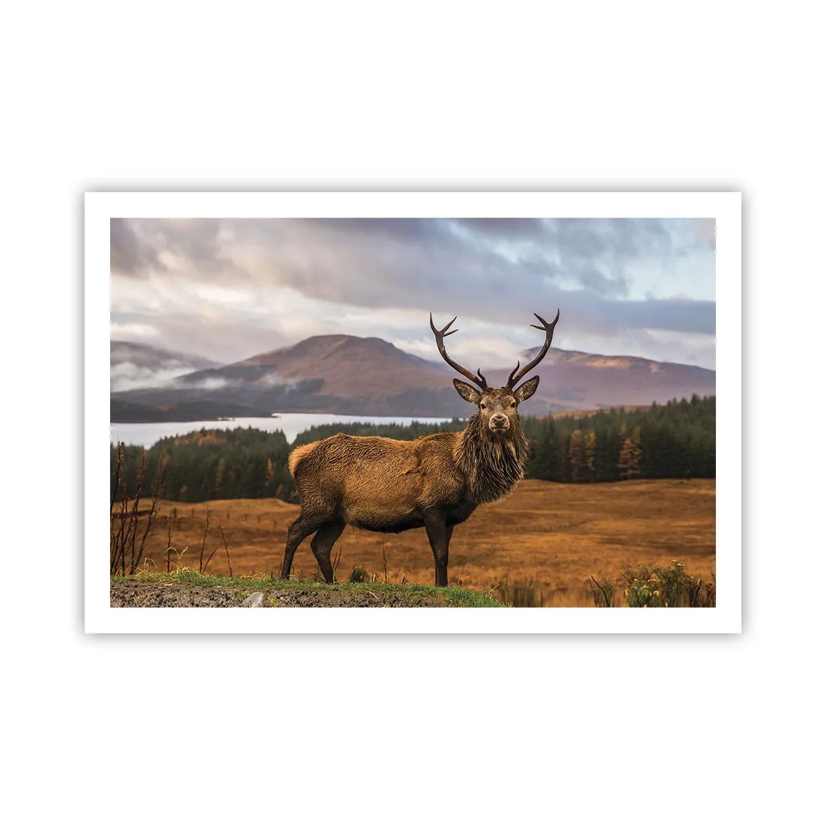 Poster - Majesty of Nature - 91x61 cm