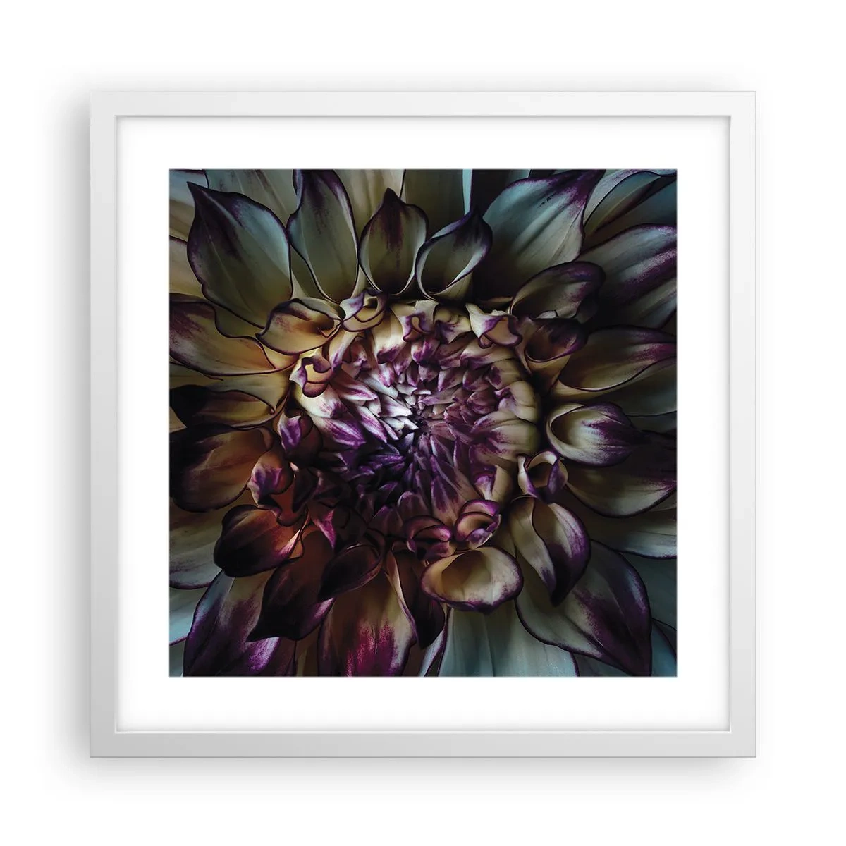 Poster in white frmae - The Blossoming of Youth - 40x40 cm