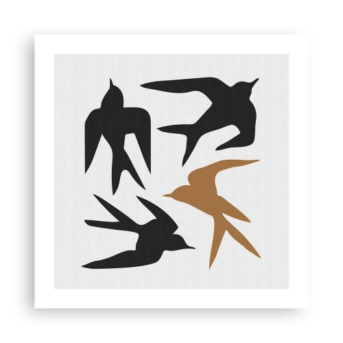 Poster - Swallows at Play - 50x50 cm