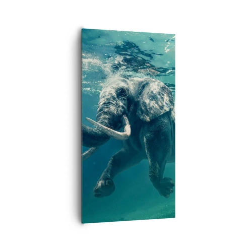 Canvas picture - Everyone Likes to Swim - 65x120 cm