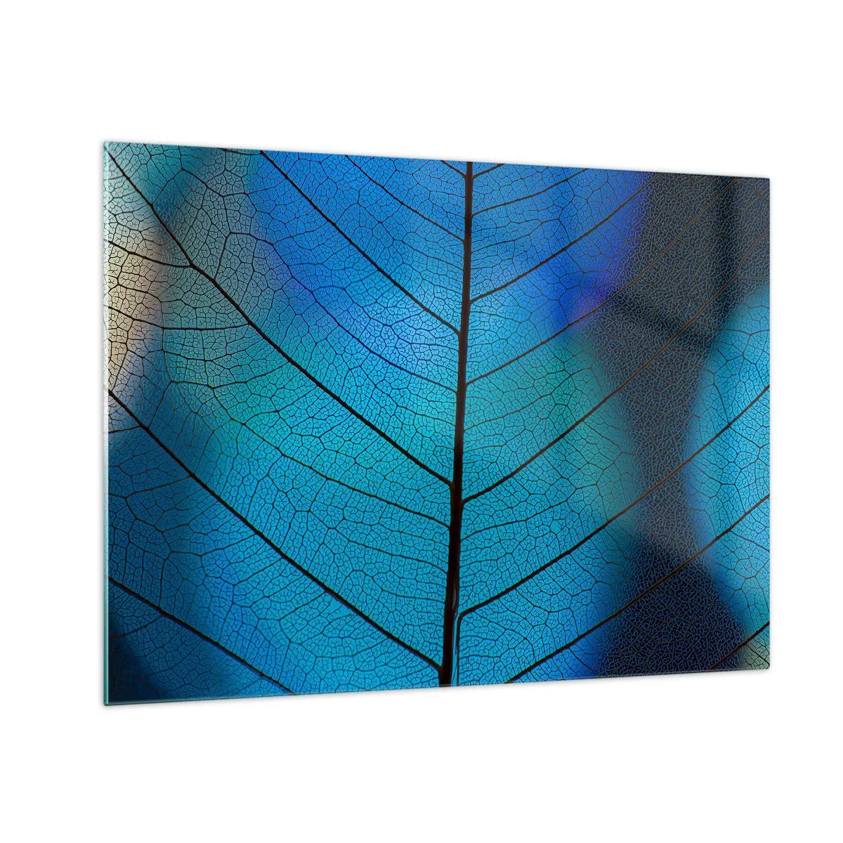 Glass picture - A close-up of a blue leaf showing the vein structure. - 70x50cm - Intricate Construction - Modern wall decoration for the living room and bedroom ARTTOR