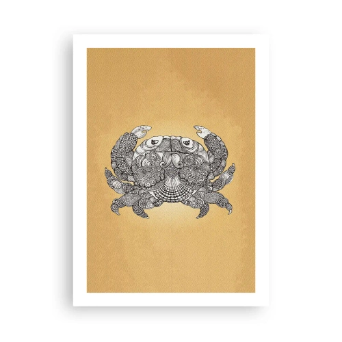 Poster - Tales of Mr Crab - 50x70 cm