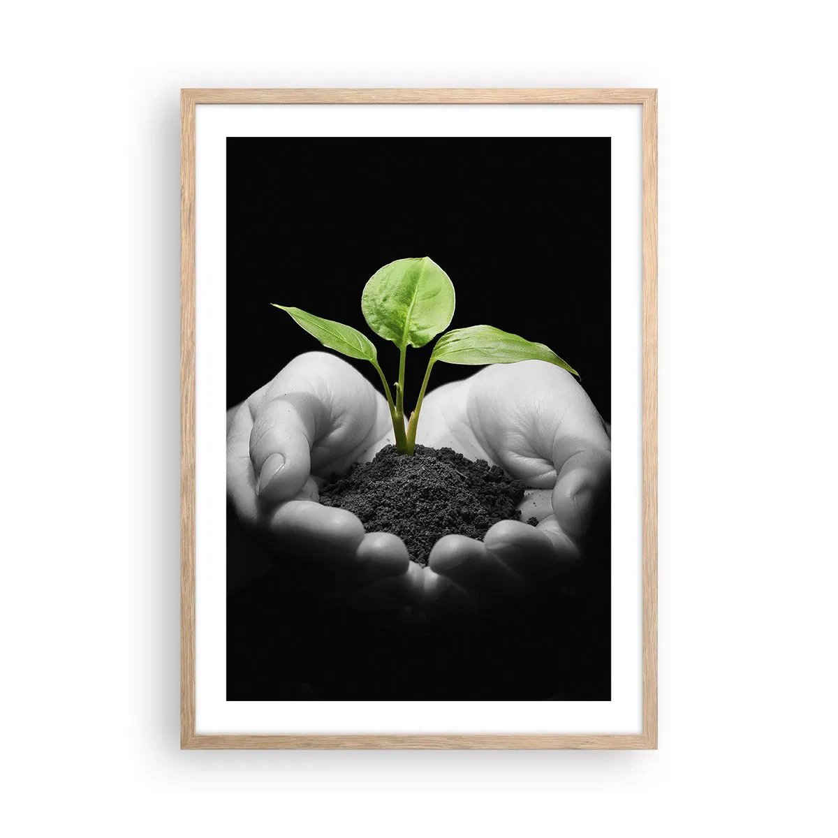 Poster in light oak frame - I Love Nature, I Protect It - 50x70 cm
