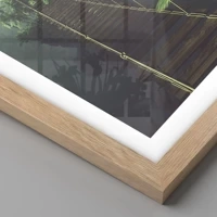 Light Oak
