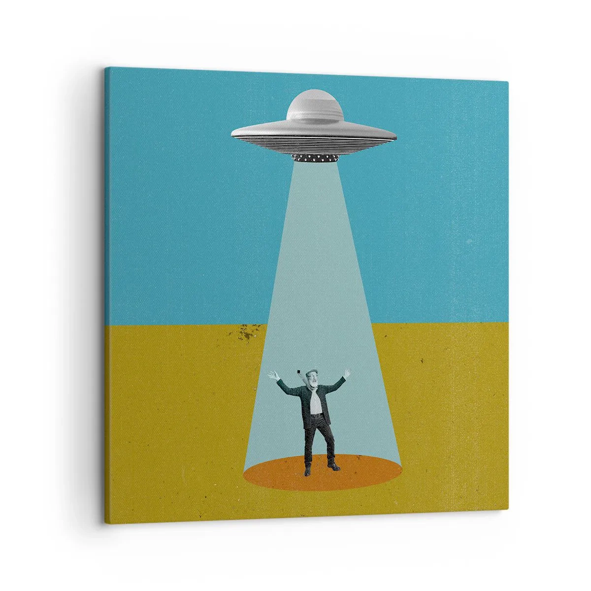 Canvas picture - Close Encounter - 50x50 cm