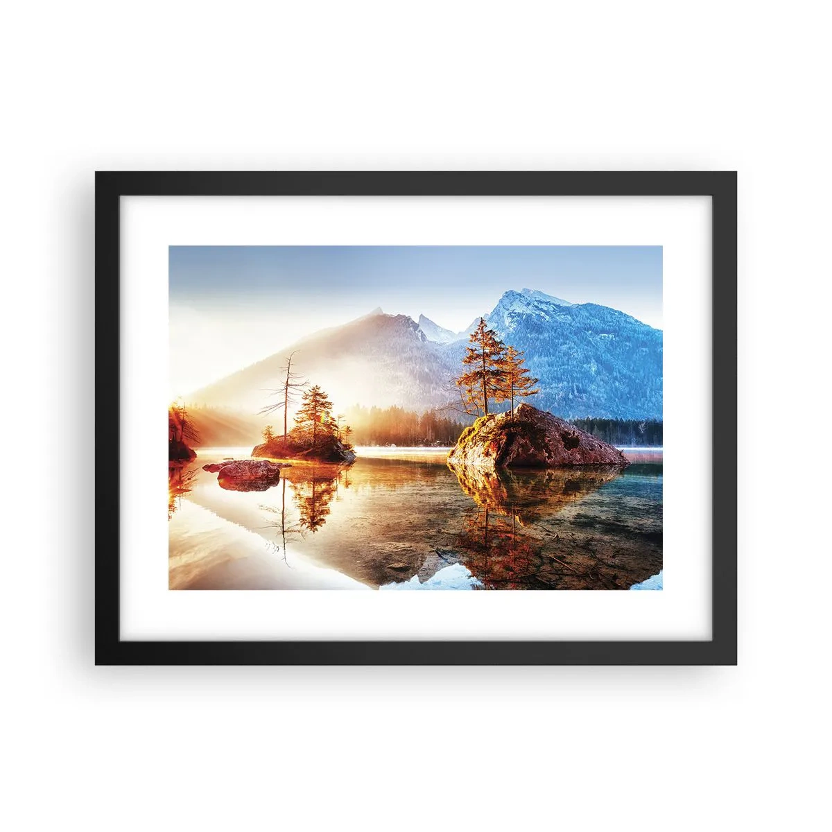 Poster in black frame - Nature in New Light - 40x30 cm