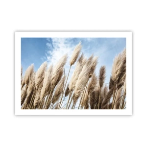 Poster - Caress of Sun and Wind - 70x50 cm