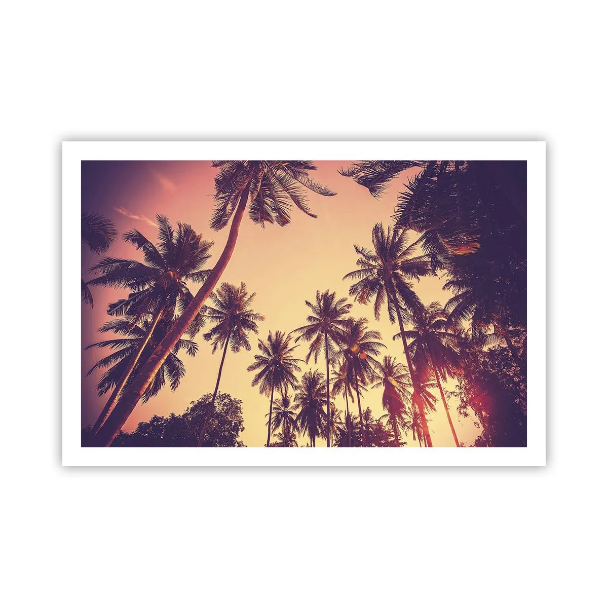 Poster - Tropical Variation - 91x61 cm