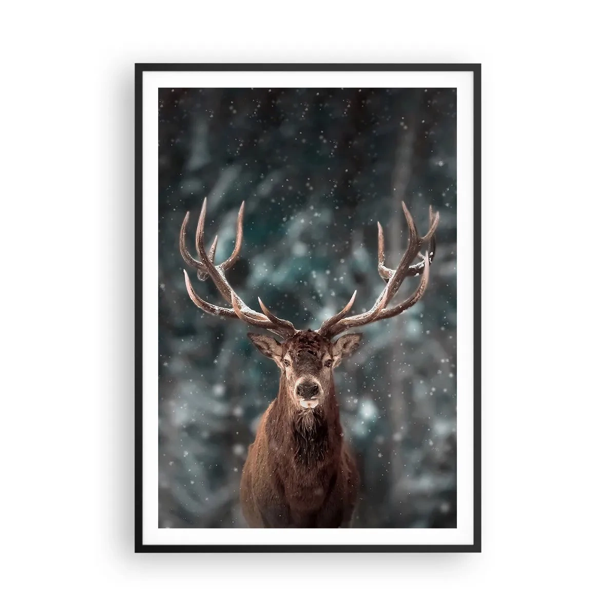 Poster in black frame - King of Forest Crowned - 70x100 cm