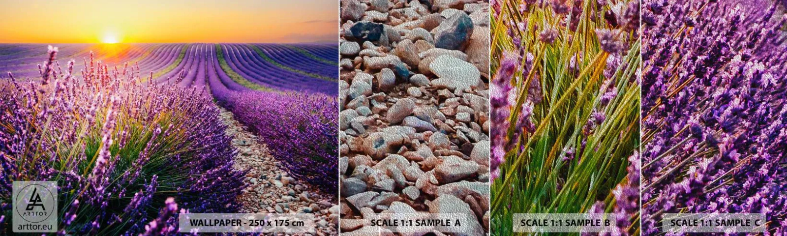 Photo Wallpaper Sample Premium Sand - Fragrant Field - Landscape, Lavender Field, Provence - 100x30 cm
