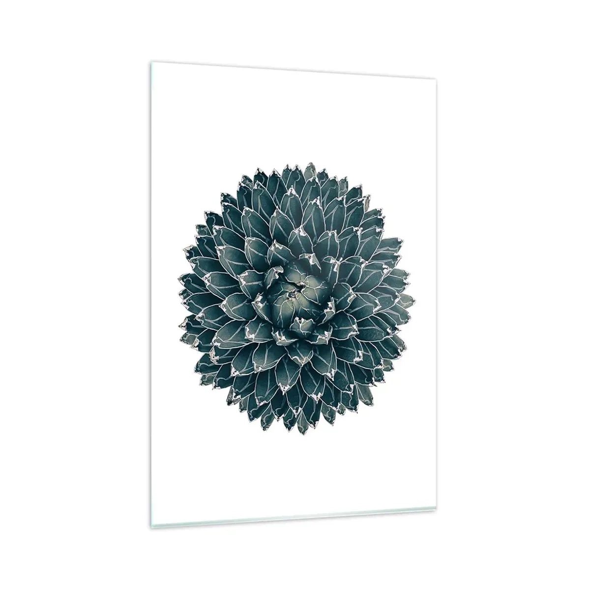 Glass picture - Star of the Desert - 80x120 cm